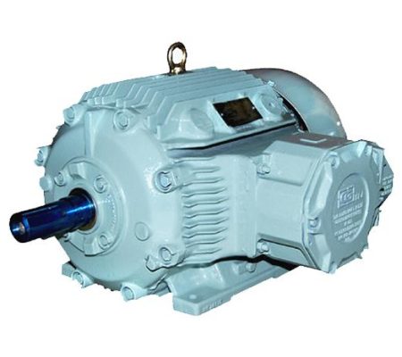 CROMPTON GREAVES FLAMPROOF MOTOR